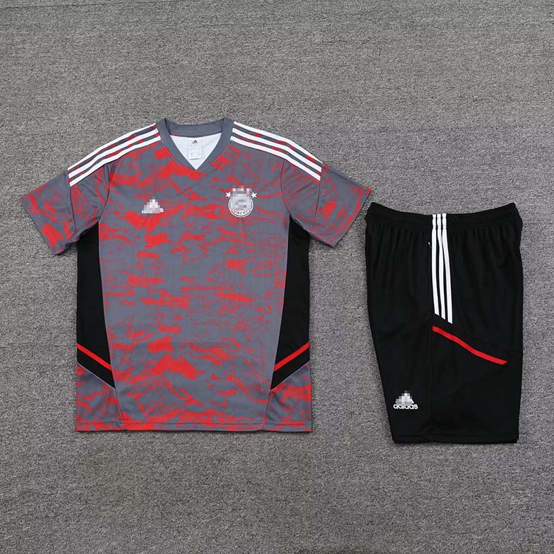 Camiseta de Entrenamiento de Bayern Múnich 2023/2024 Gris/Rojo